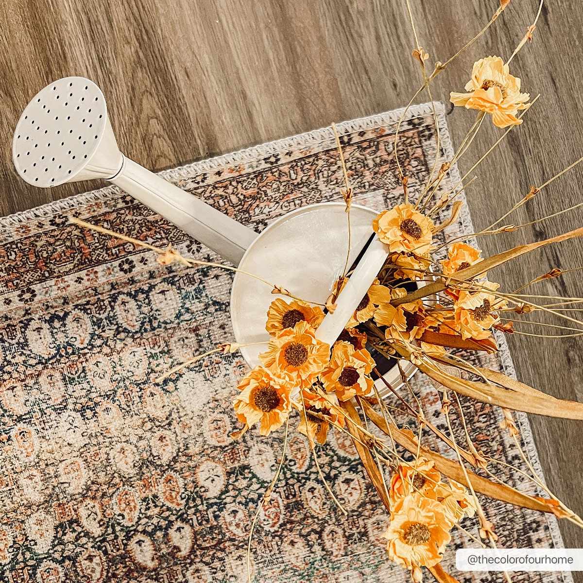 Rust Maligaya Distressed Washable Area Rug Champagne Themis