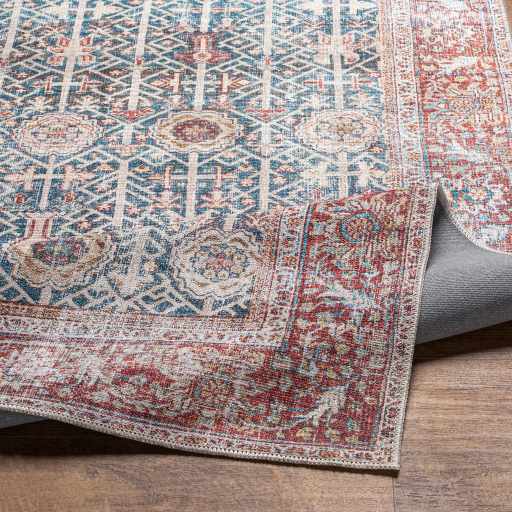 Rust Catadupa Distressed Washable Area Rug - Clearance