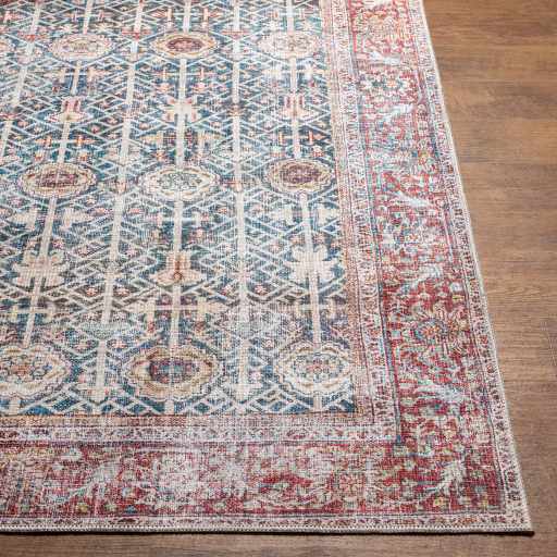 Rust Catadupa Distressed Washable Area Rug - Clearance