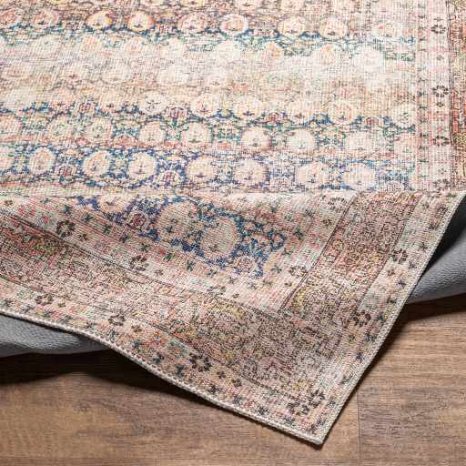 Rust Maligaya Distressed Washable Area Rug Champagne Themis