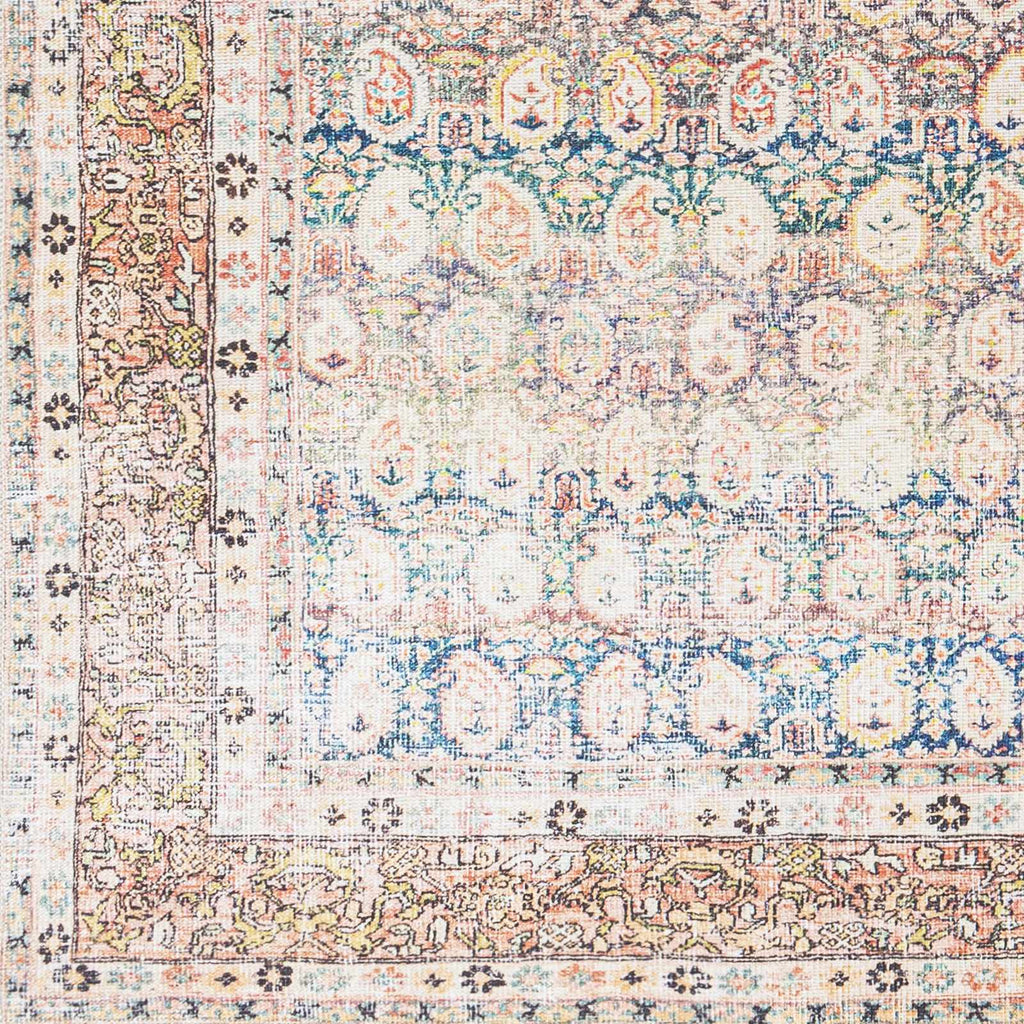 Rust Maligaya Distressed Washable Area Rug Champagne Themis