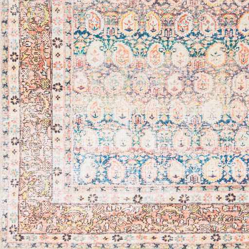 Rust Maligaya Distressed Washable Area Rug Champagne Themis