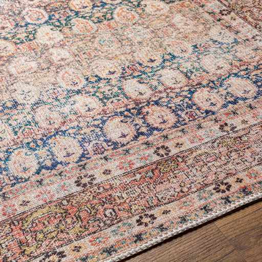 Rust Maligaya Distressed Washable Area Rug Champagne Themis