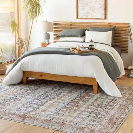 Rust Maligaya Distressed Washable Area Rug Champagne Themis