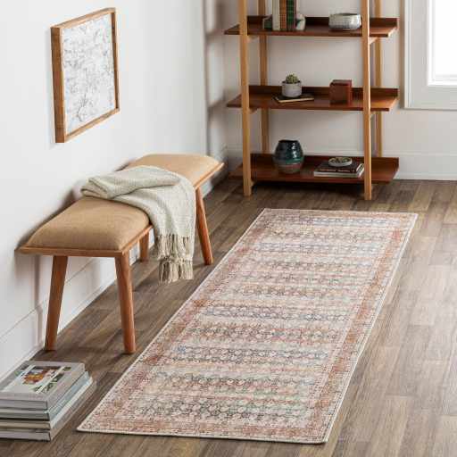 Rust Maligaya Distressed Washable Area Rug Champagne Themis